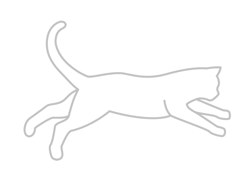 Katze Icon
