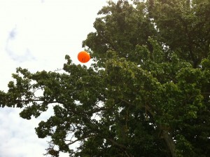 Folkpartiballong i ett träd i Almedalen