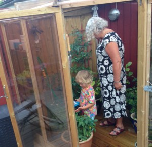 Hugo och mormor i växthuset