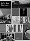 Rosa Candida