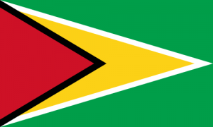 Guyanas flagga