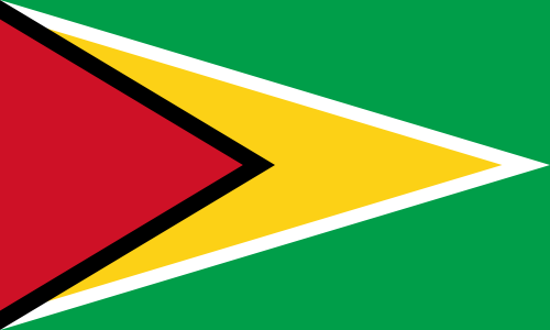 Guyanas flagga