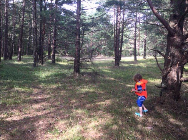 Hugo på Järflotta