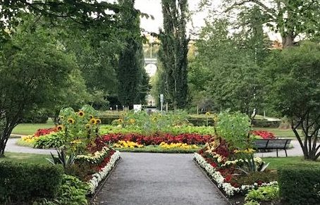 Örnparken i Övik