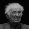 Seamus Heaney