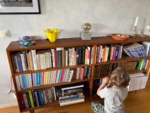 Shelfie maj 2021