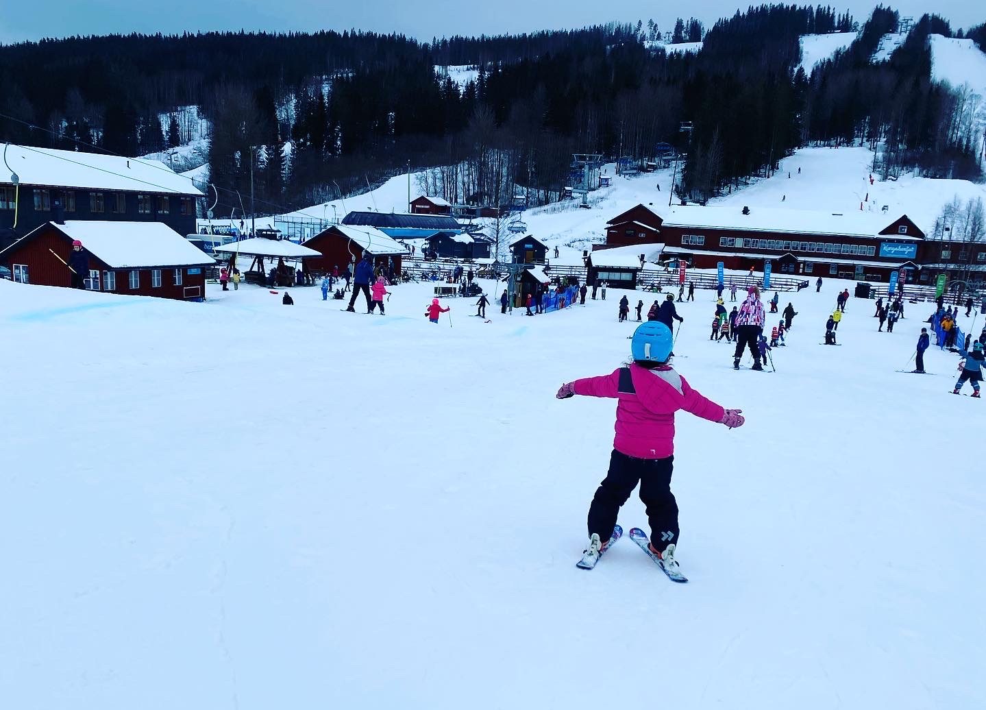 Selma på Kungsberget