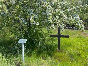 Powerwalk på Landsort maj 2022