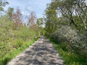 Powerwalk på Landsort maj 2022