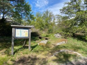 Powerwalk på Landsort maj 2022