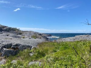 Powerwalk på Landsort maj 2022