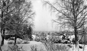 Vinter i Raivola av Edith Södergran