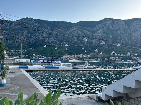 Kotor
