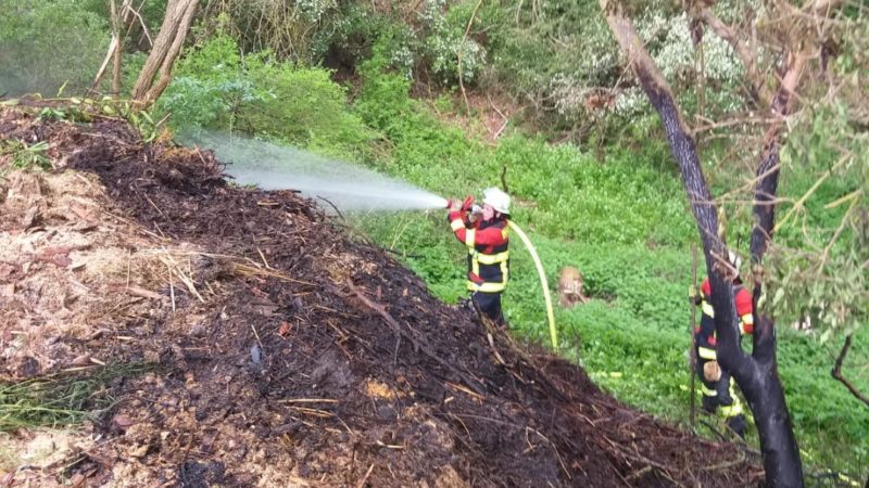 09.05.2020 Brand Freifläche