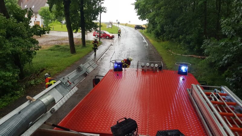 29.06.2021 Baum über Fahrbahn