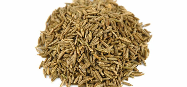 caraway