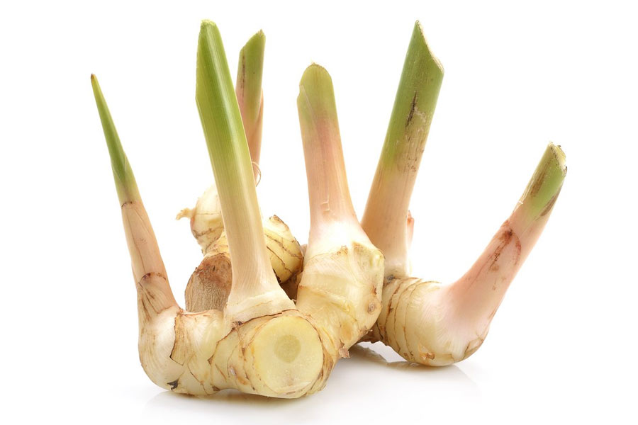 Fresh Root Galangal