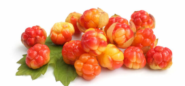 cloudberry