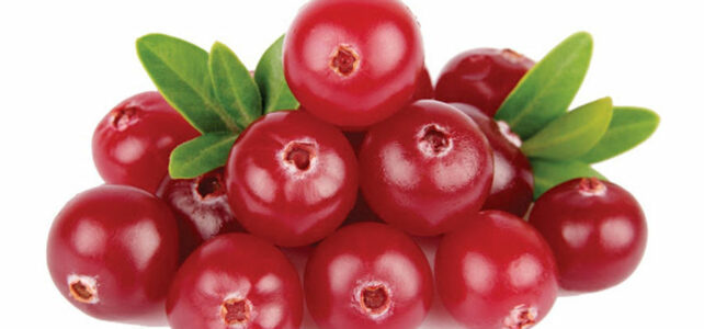 large cranberry