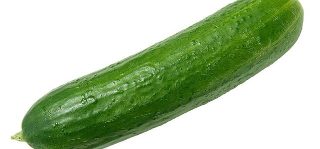 cucumber