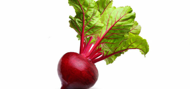 beetroot