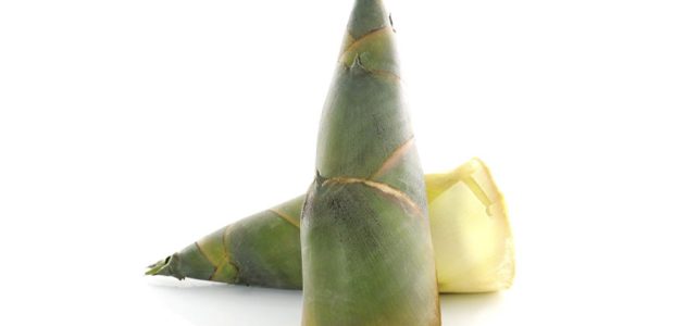 bamboo shoot