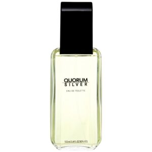 ANTONIO PUIG Quorum Silver edt 100ml, Herr ♂