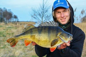 Perch Fishing in Sweden