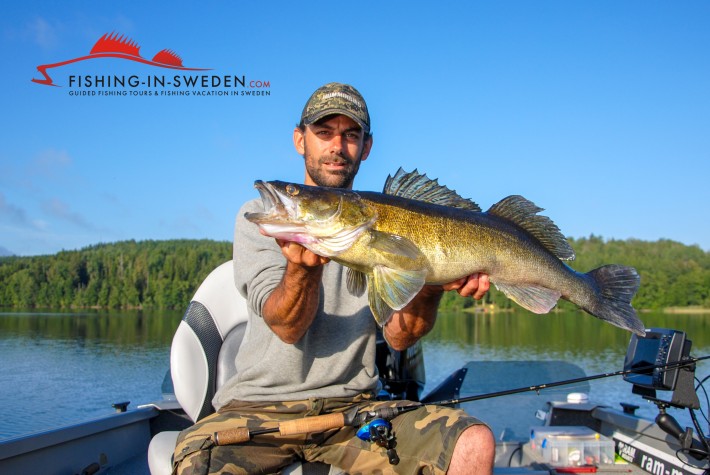 Zander Fishing in Sweden
