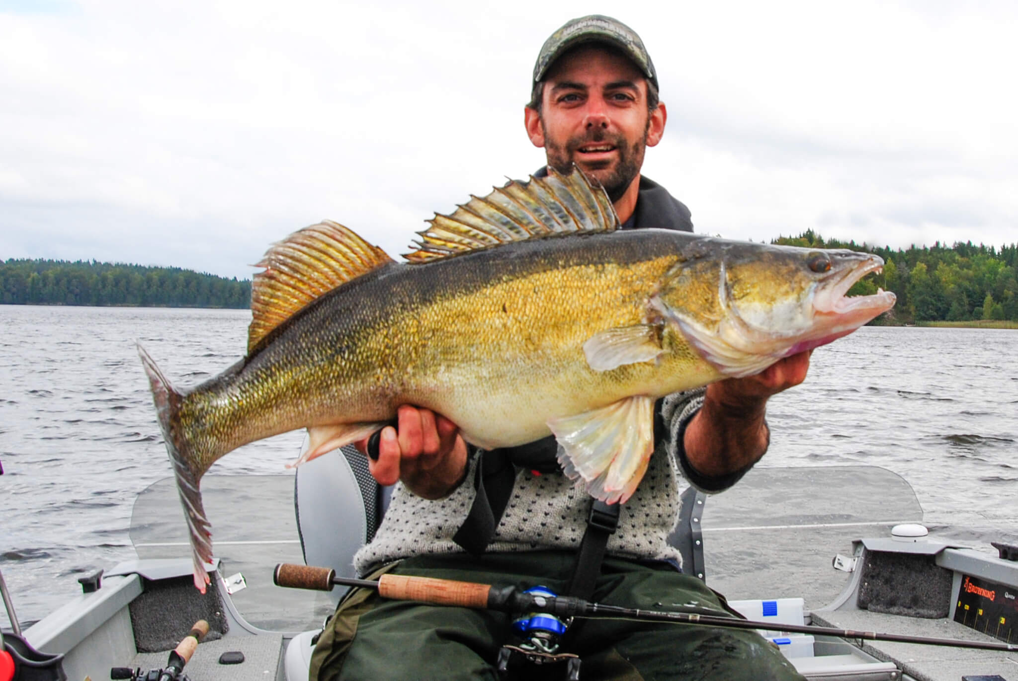 Huge Zander caught Fishing in Sweden.