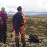 Kvikne Fjellstyre foreslår at det skal bli mulig å jakte som lag innen KØS.