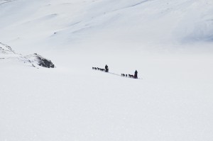 Flotte forhold for ski og hundekjøring ved nordytjønna 3.5.2015