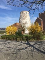 Flietermolen Tollembeek