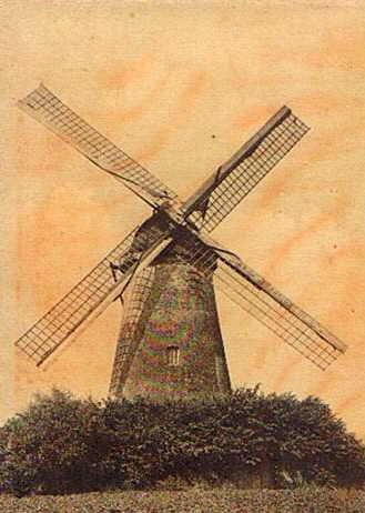 Flietermolen