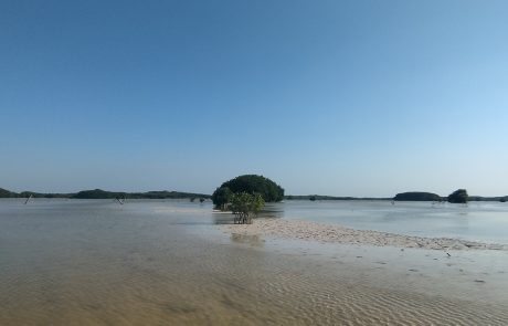 Yucatán lagoon in Sisal