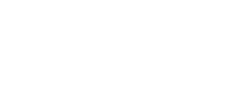 Florijn Chauffeurs