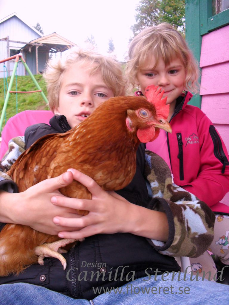 Teamaxfluffis Kopia 768x1024