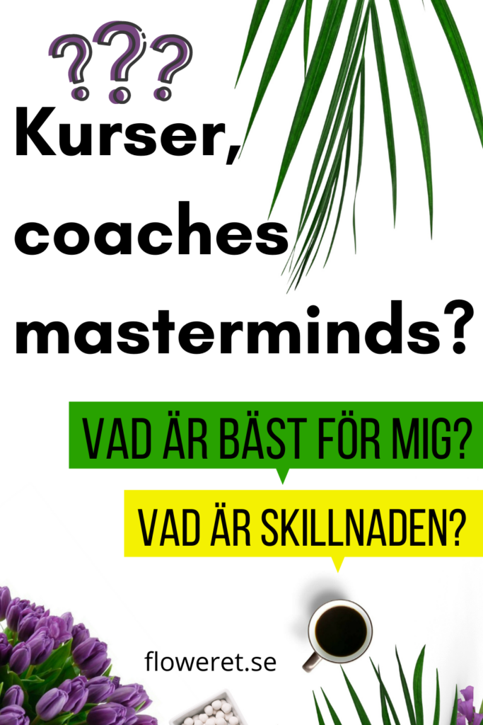 kurser masterminds och andra sätt att lära sig på nätet