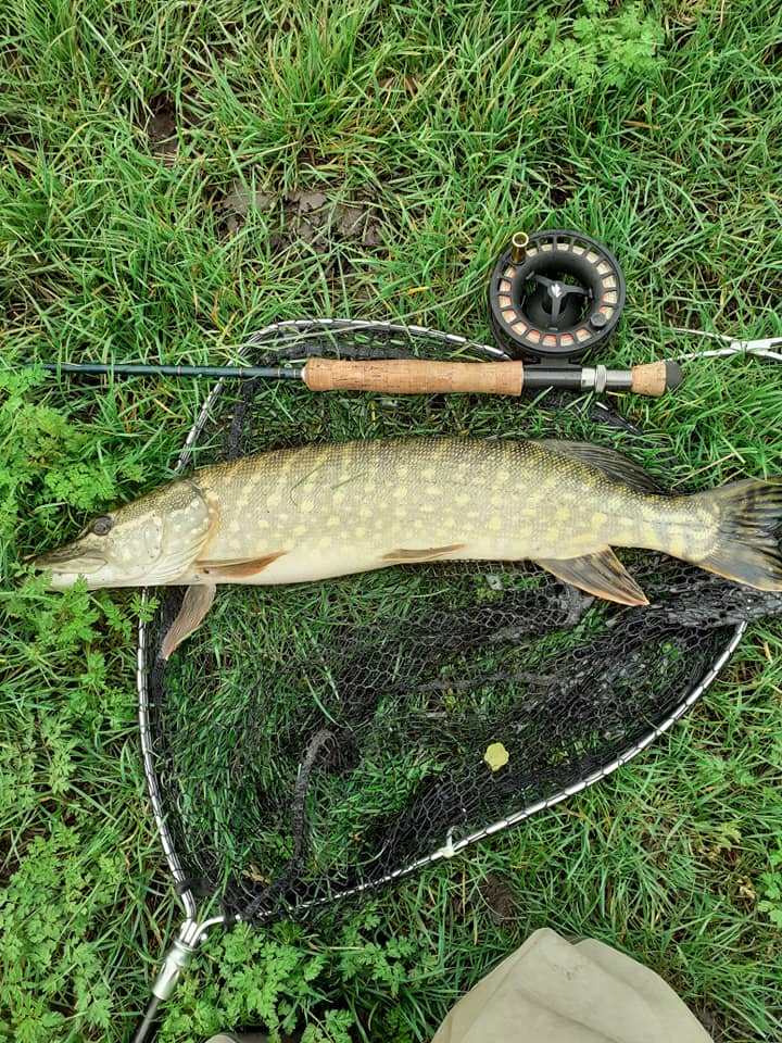Great Day on the Fen and Five Pike this Week To Boot