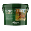 SemperCube Nordic St Hippolyt