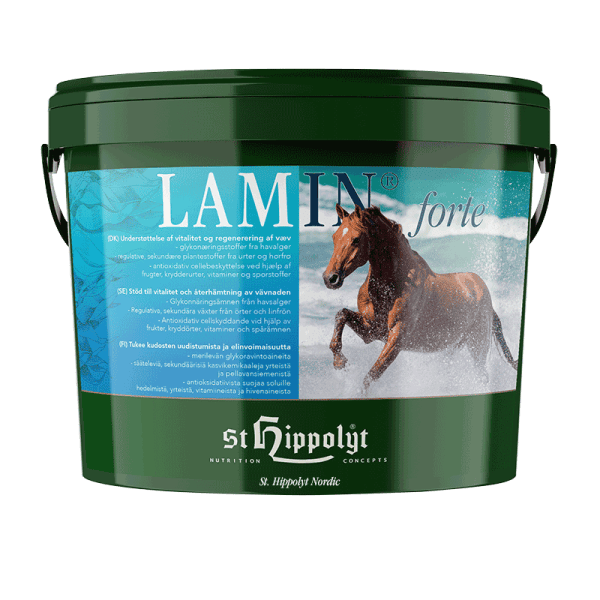 LaminForte Nordic st Hippolyt