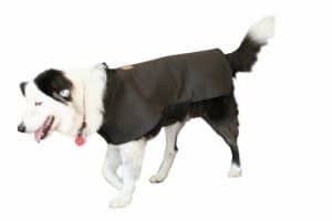 Dry Tec Dog coat Scippis