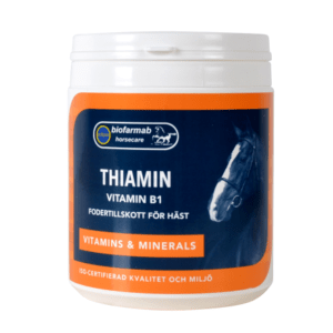 Thiamin Eclipse Biofarmab