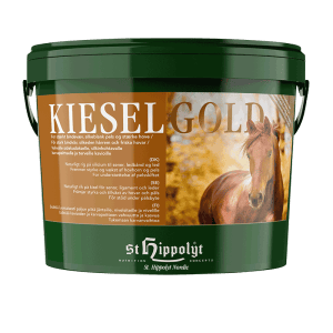 KieselGold från St Hippolyt