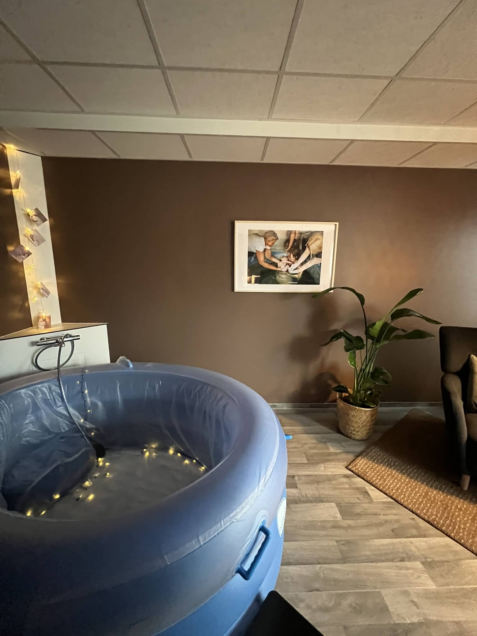 Leje fødekar Regular - Billede 5