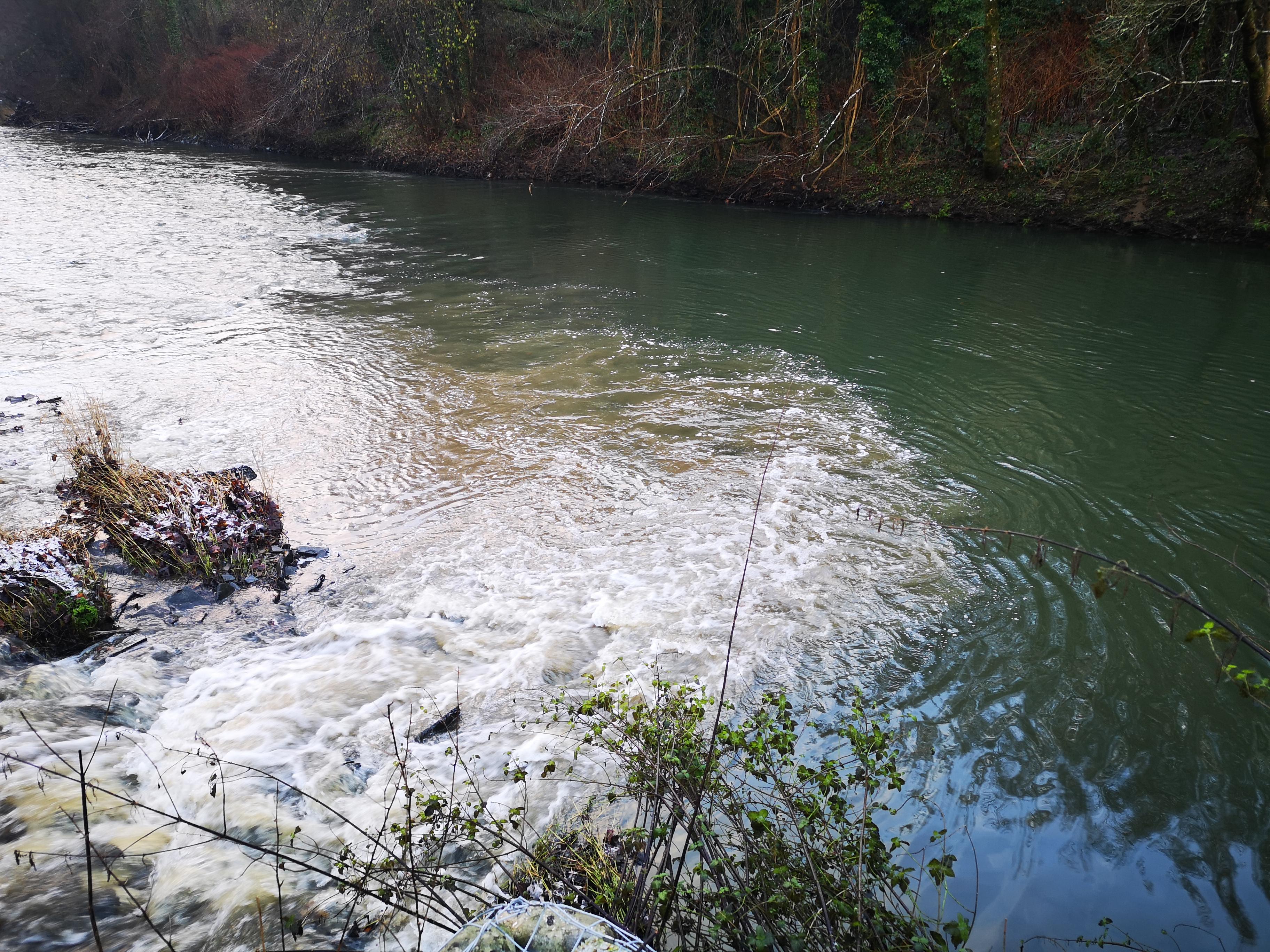 Pollution event Plysgog/Teifi confluence