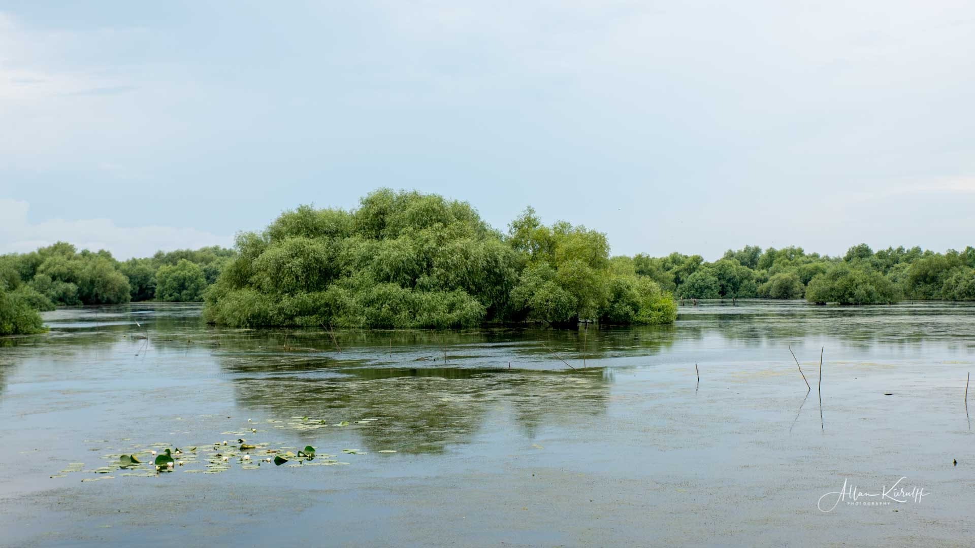 Donau Deltaet 40