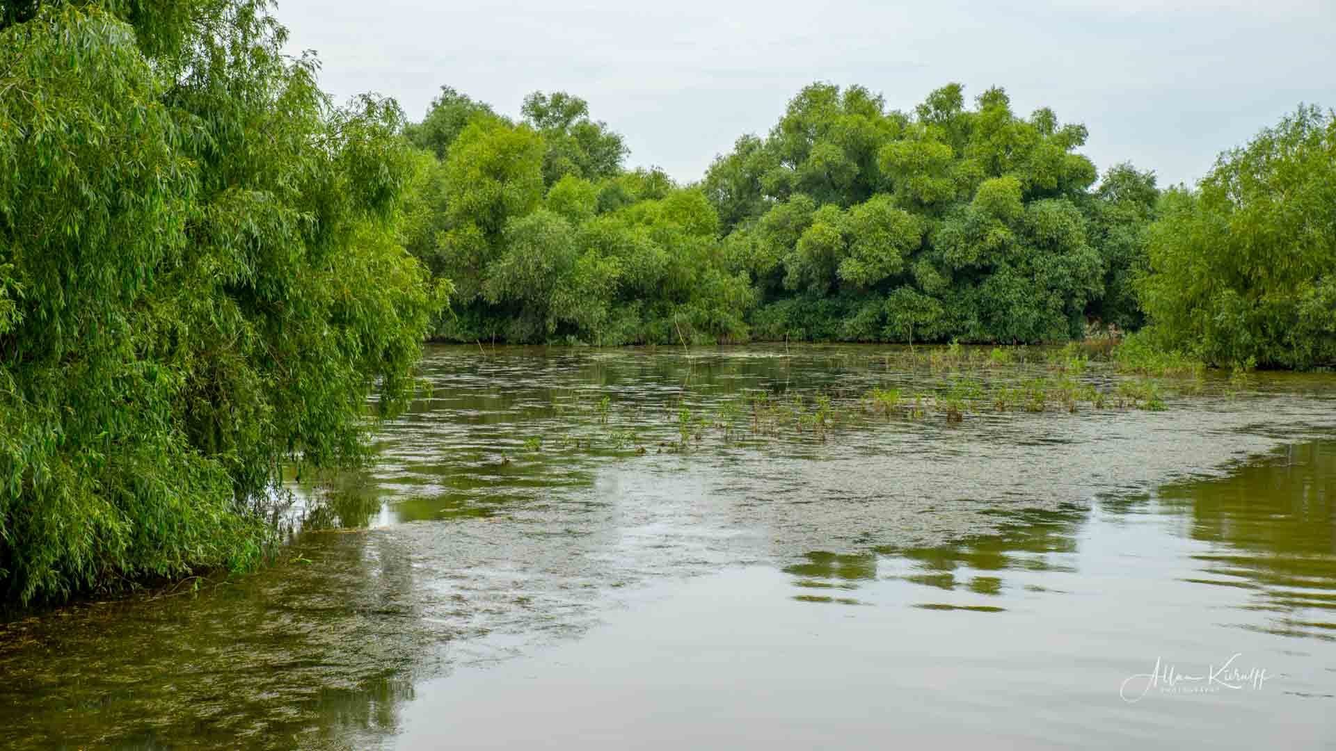 Donau Deltaet 42