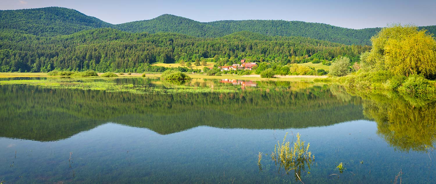 Lake Cerknica 1