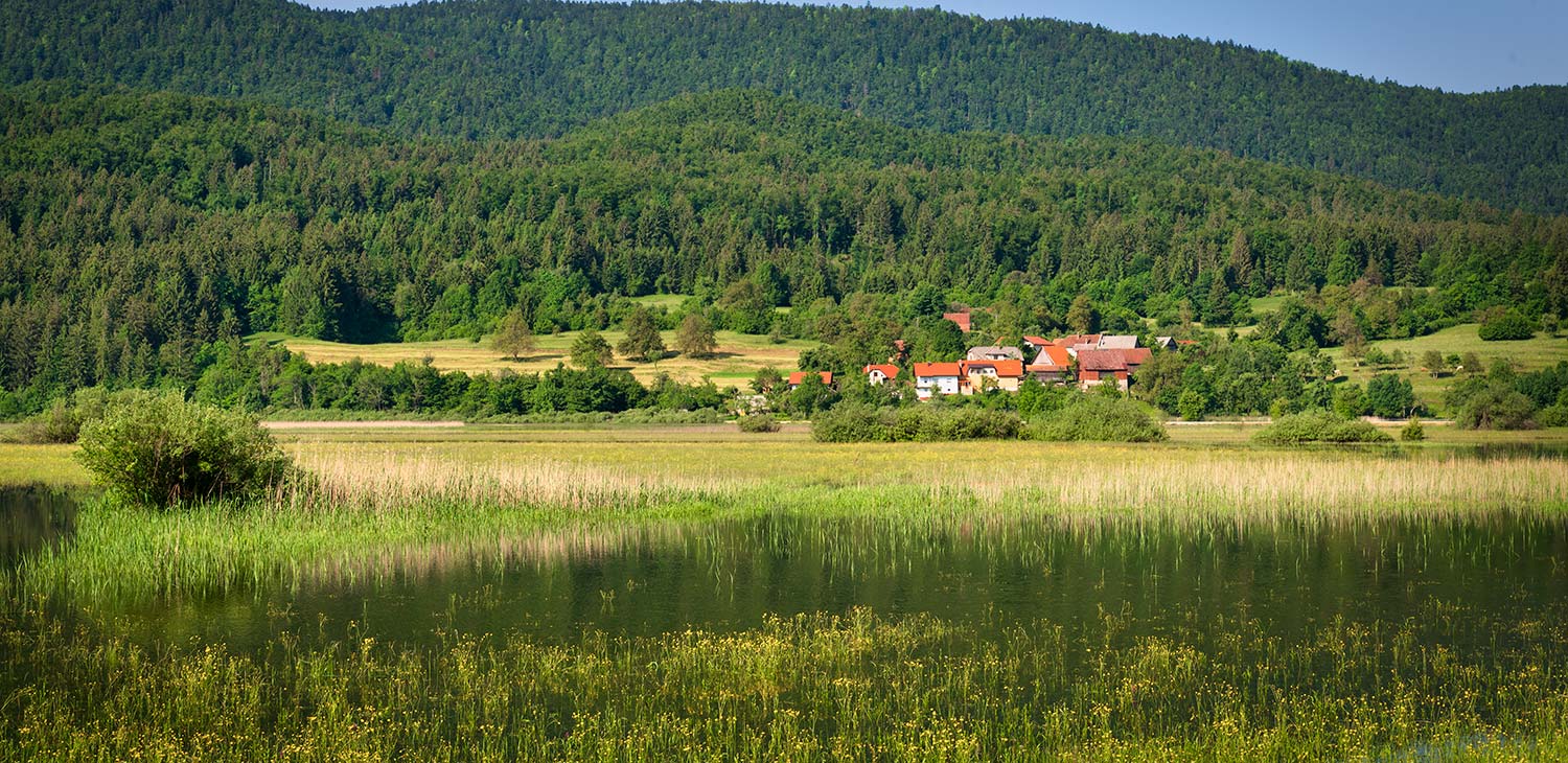 Lake Cerknica 3